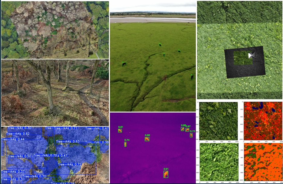 Environmental Monitoring